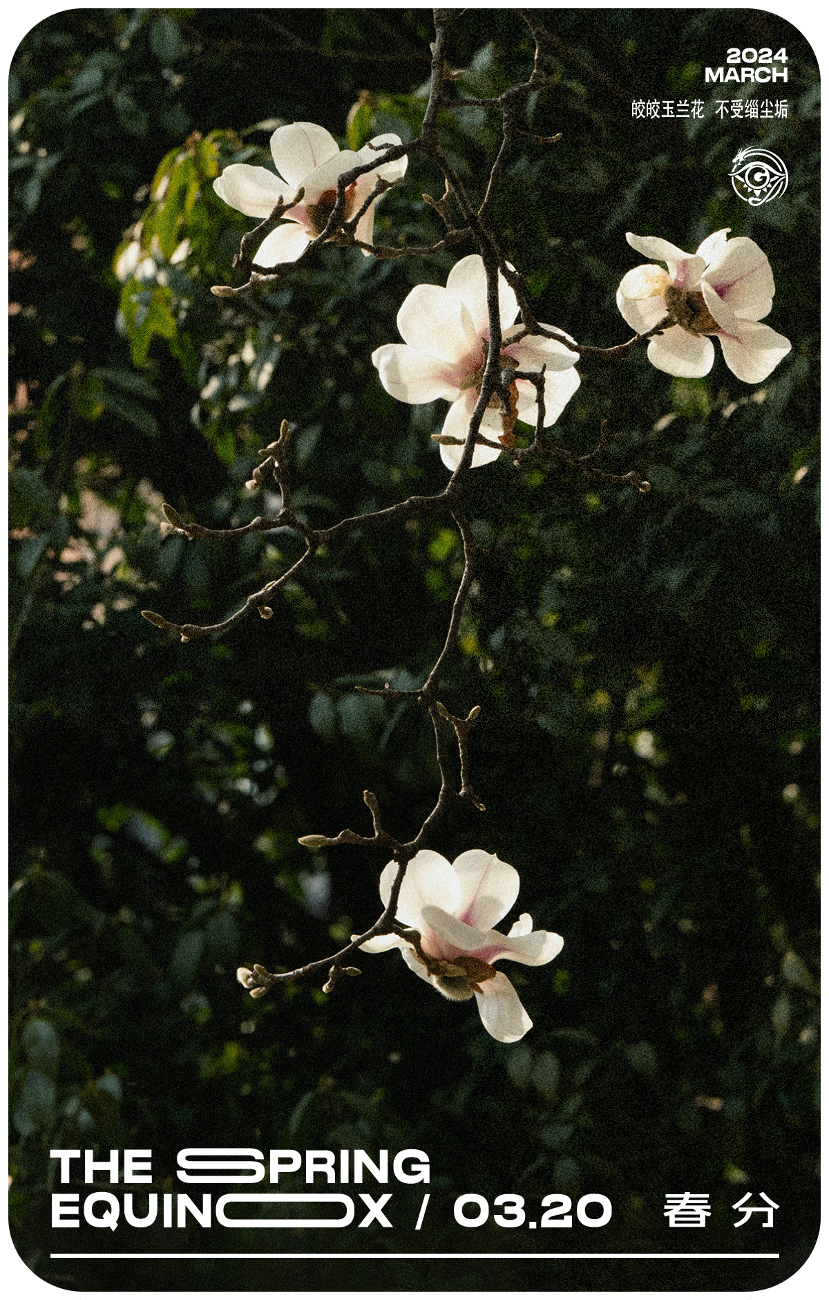 二十四番花信風(fēng)·春分篇